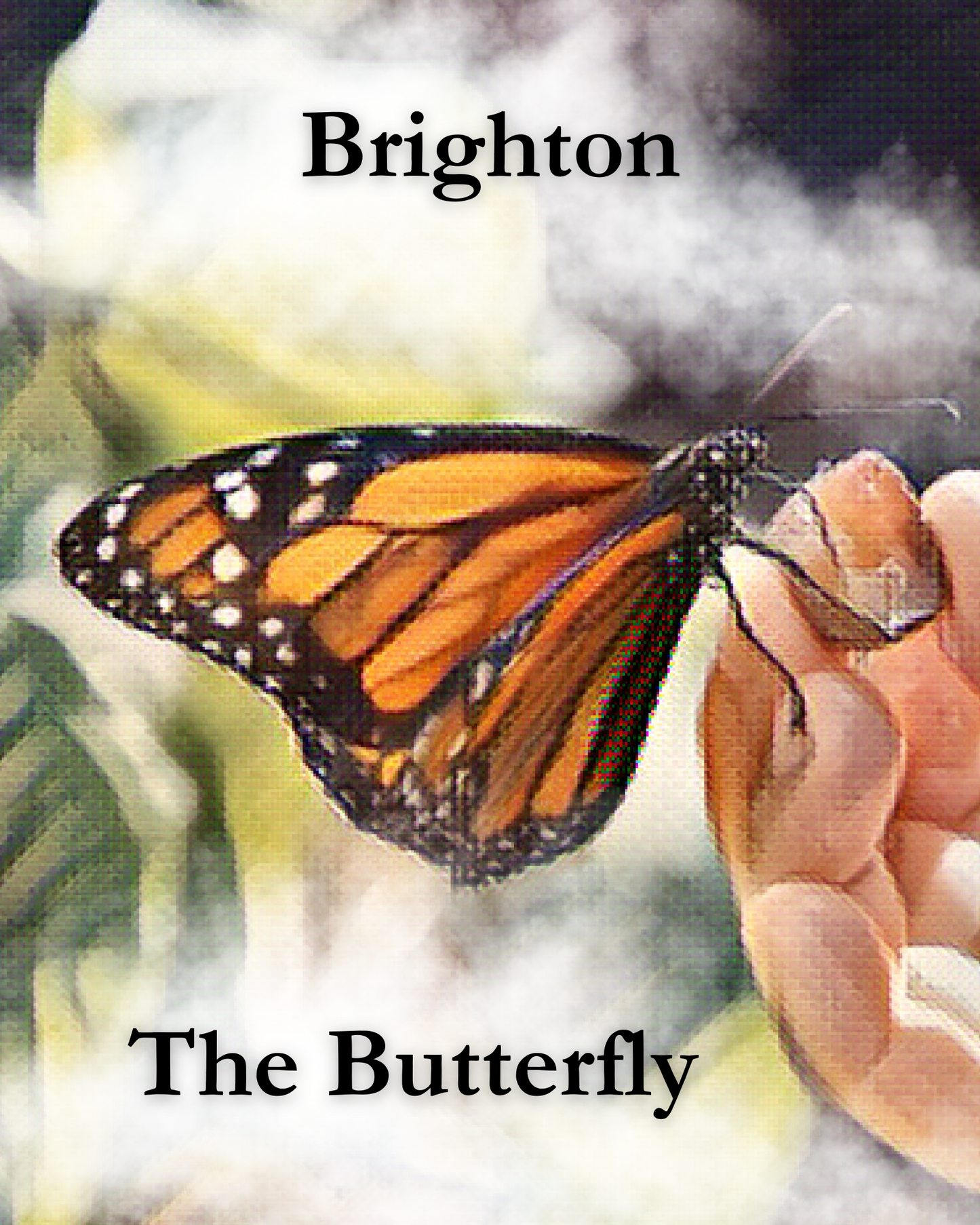 Brighton The Butterfly