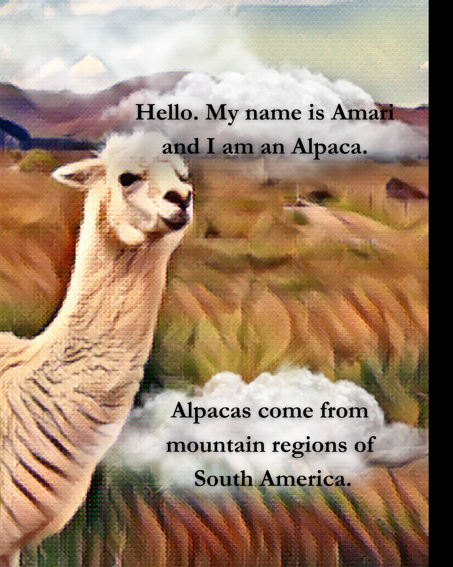 Amari The Alpaca
