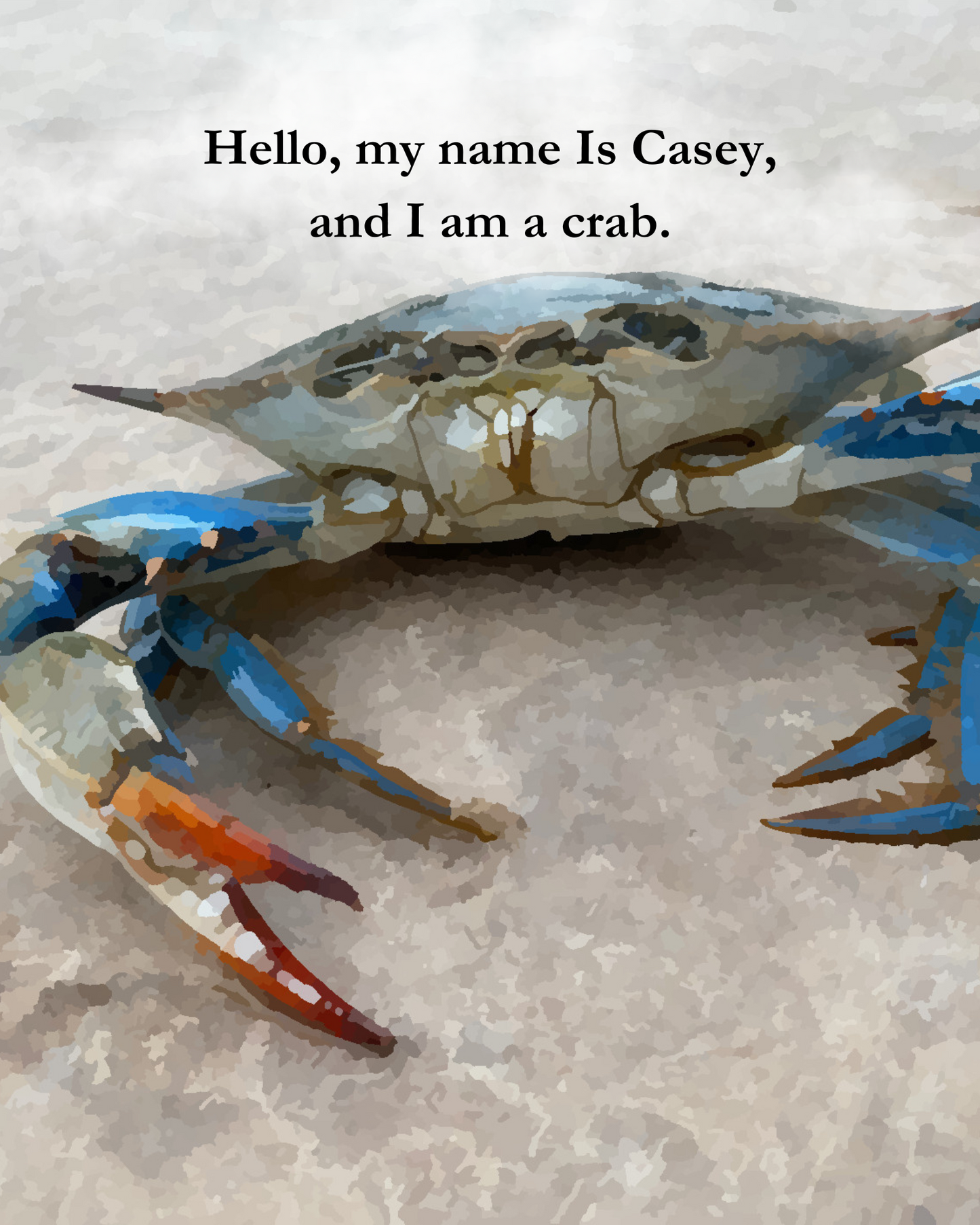 Casey The Crab